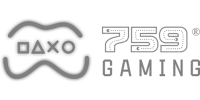 Payment Partner 1